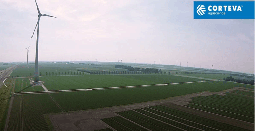 Zorvec käytännössä